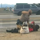 Video footage of the July 1, 2014, incident shows an officer on top of Marlene Pinnock.
NBC Los Angeles 4 Screenshot